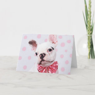 Tarjeta Bulldog francés con Bow Tie
