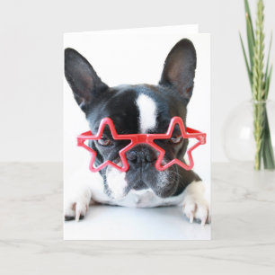 Tarjeta Bulldog francés con gafas de estrella roja