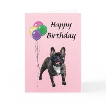 Bulldog francés con globos Feliz cumpleaños