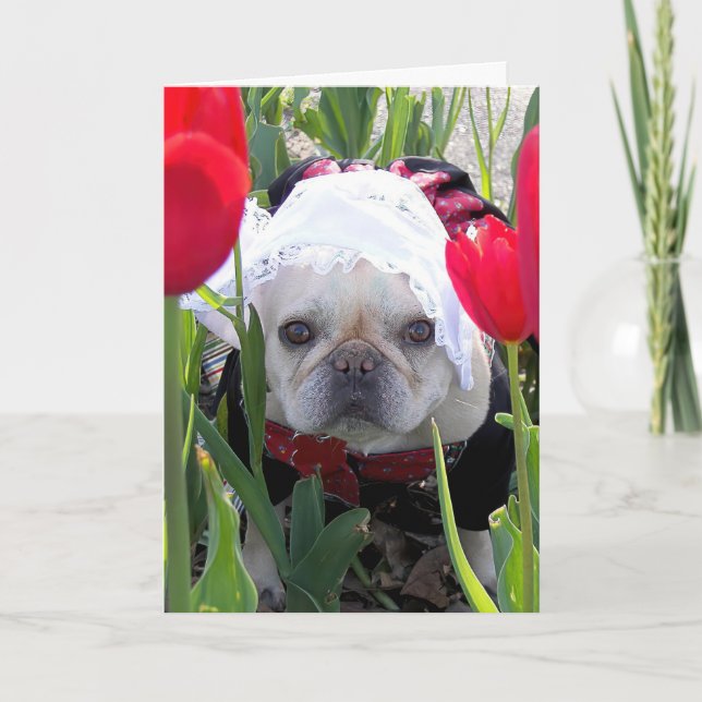 Tarjeta Bulldog francés de cumpleaños en un jardín holandé (Anverso)