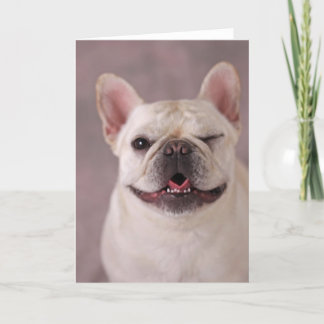 Tarjeta Bulldog francés de perro con guiños divertidos
