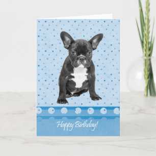 Tarjeta Bulldog francés Happy Birthday Card Blue puntos