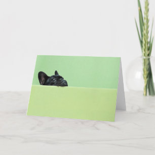 Tarjeta Bulldog francés se entromete con la pared