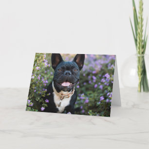 Tarjeta Bulldog francés se sienta en las flores