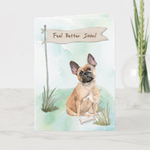 Tarjeta Bulldog francés se siente mejor después de cirugía