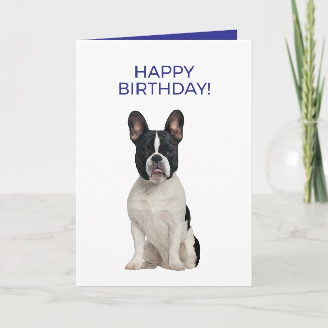 Tarjeta Bulldog francés simple mínimo feliz cumpleaños (Anverso)