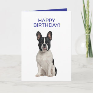 Tarjeta Bulldog francés simple mínimo feliz cumpleaños