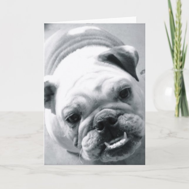 Tarjeta Bulldog inglés (Anverso)