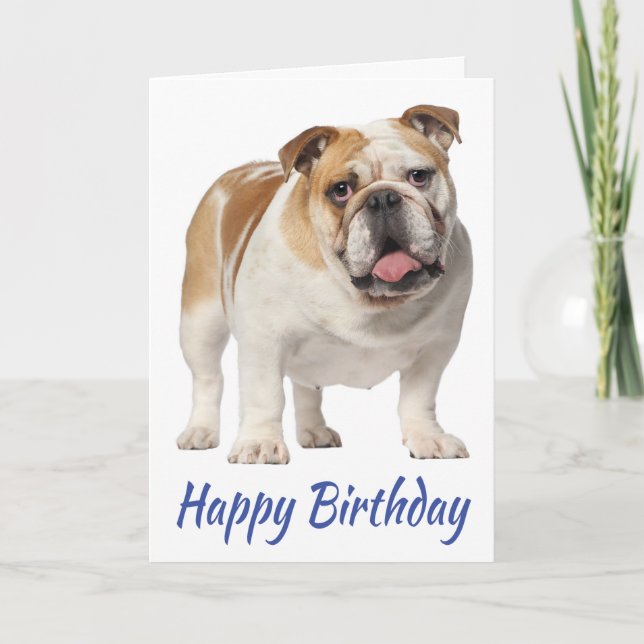 Tarjeta Bulldog inglés de porcino lindo cumpleaños (Anverso)