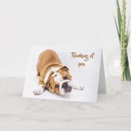 Tarjeta Bulldog lindo, pensar en ti