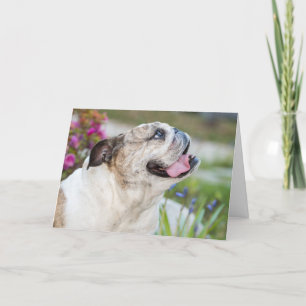 Tarjeta Bulldog lindo que me haces reír a mí personalizado
