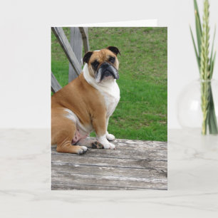 Tarjeta Bulldog, pensando en ti