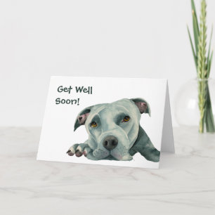 Tarjeta Bulldog Pit   Mejorarse pronto