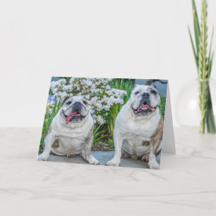 Tarjeta Bulldoges más inteligentes personalizados