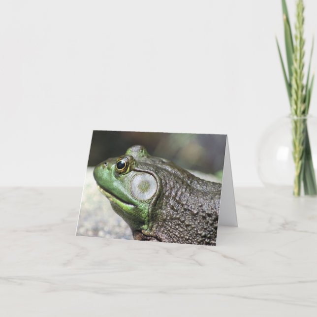 Tarjeta Bullfrog Thoughts Nature Photography Note (Anverso)