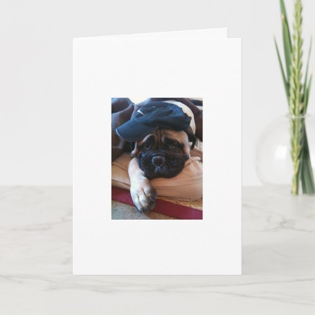 Tarjeta Bullmastiff I'm Sorry card or Invitation (Anverso)