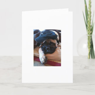 Tarjeta Bullmastiff I'm Sorry card or Invitation