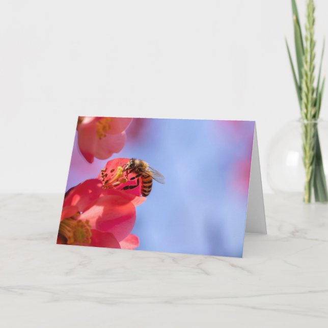 Tarjeta Bumble Bee en Quince (Anverso)