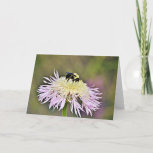 Tarjeta Bumble Bee Wildflower Scripture Card John 1:16