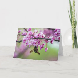 Tarjeta Bumbleabe en flores Redbud