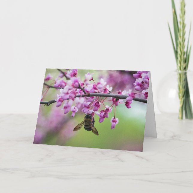 Tarjeta Bumbleabe en flores Redbud (Anverso)
