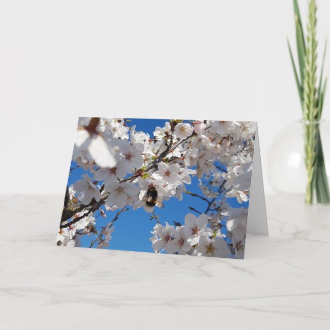 Tarjeta Bumblebee en flor de cerezo salvaje (Anverso)