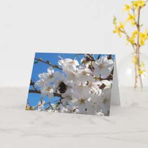 Tarjeta Bumblebee en flor de cerezo salvaje