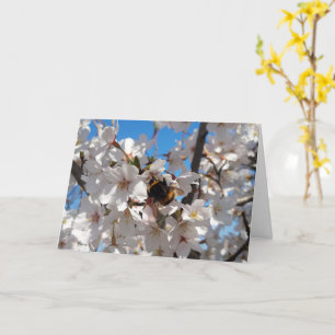 Tarjeta Bumblebee en flor de cerezo salvaje