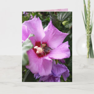 Tarjeta Bumblebee en la flor de Hibiscus
