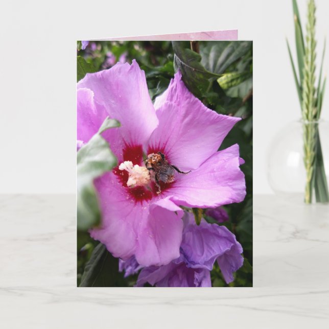Tarjeta Bumblebee en la flor de Hibiscus (Anverso)