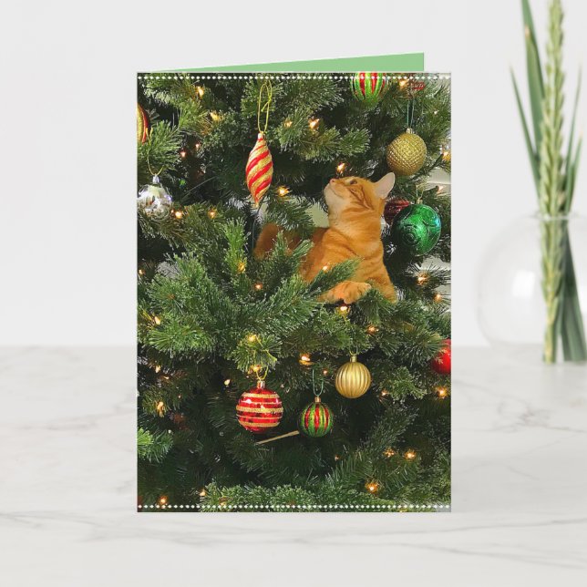 Tarjeta Bumblesnot: Los Navidades gritan "El Naranja Kitty (Anverso)