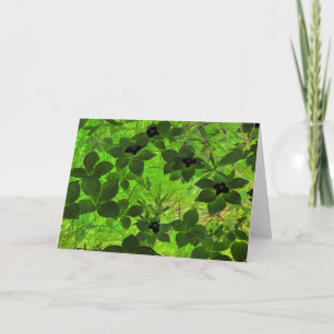 Tarjeta "Bunchberries" Plantas verdes fotográficas editada