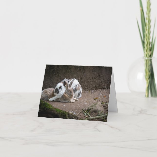 Tarjeta Bunny (Anverso)