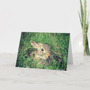 Tarjeta Bunny All Occasis