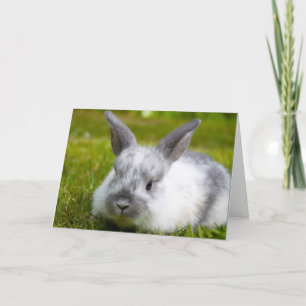 Tarjeta Bunny Birthday Card