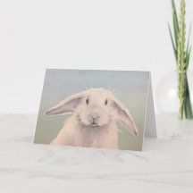 Bunny Hello