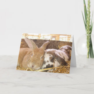 Tarjeta Bunny Love