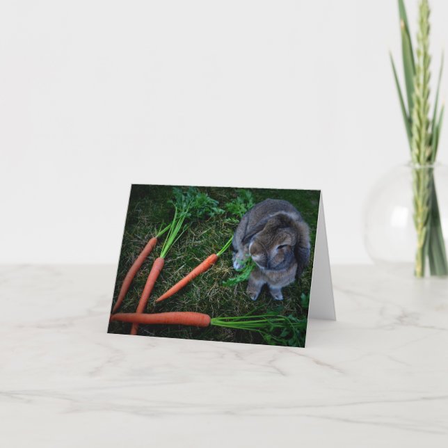 Tarjeta Bunny Munches Carrots / Notecard (Anverso)