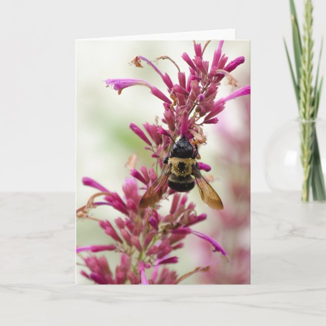 Tarjeta Burbujas y magenta (Anverso)