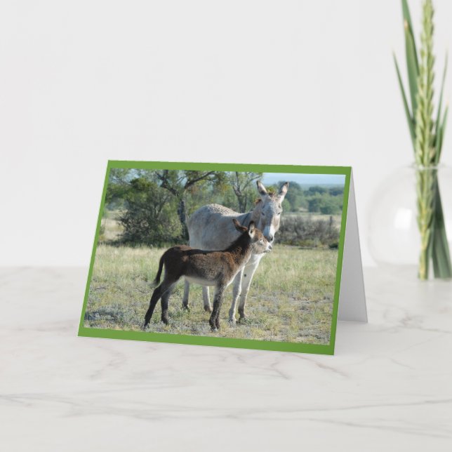 Tarjeta Burra y Burrito #3 (Anverso)