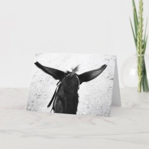 Tarjeta Burro