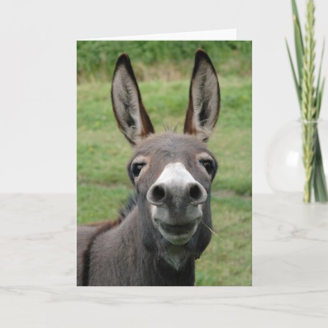 Tarjeta Burro (Anverso)