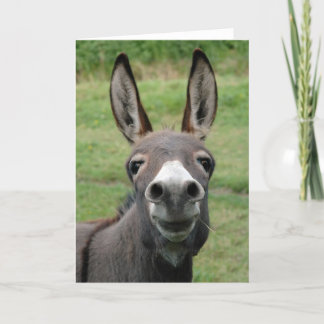 Tarjeta Burro