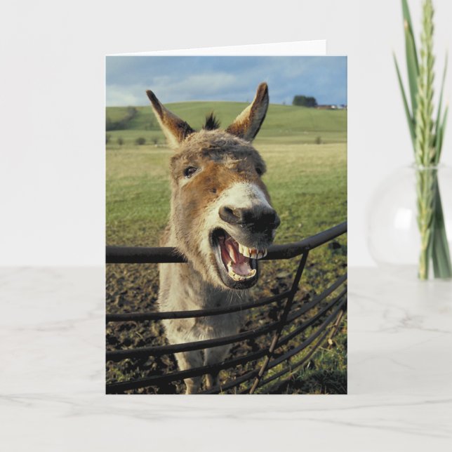 Tarjeta Burro (Anverso)