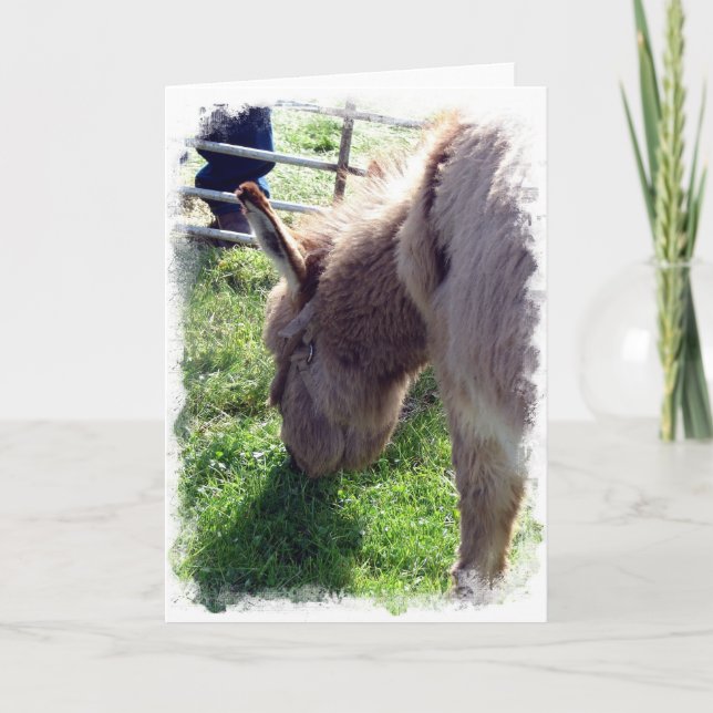 Tarjeta Burro (Anverso)