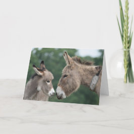Tarjeta Burro pequeño