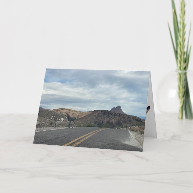 Tarjeta burros on route 66 greeting card (blank inside) (Anverso)