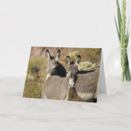 Tarjeta Burros Salvajes de Arizona