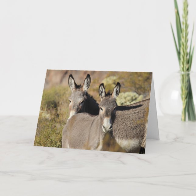Tarjeta Burros Salvajes de Arizona (Anverso)