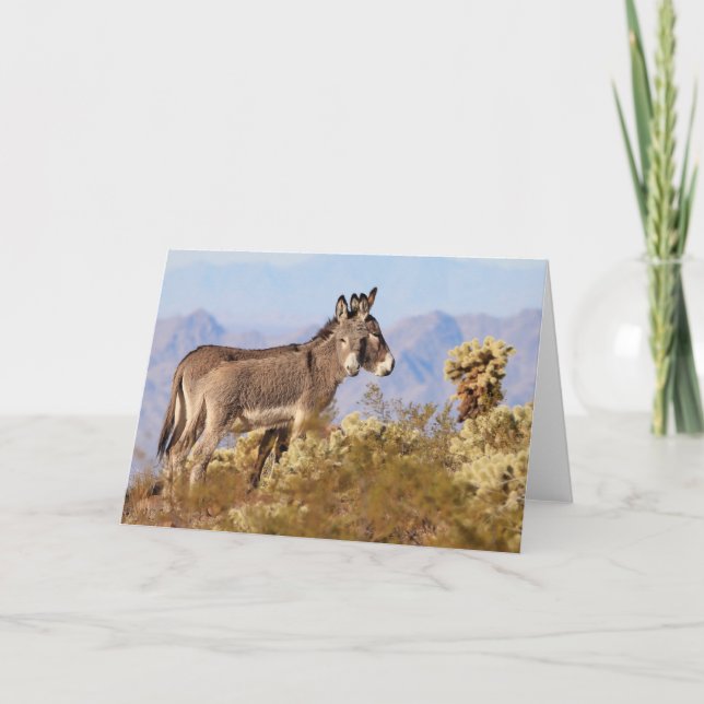 Tarjeta Burros Salvajes de Arizona (Anverso)